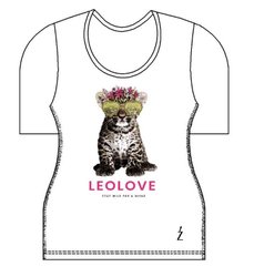 Bild nicht vorhanden