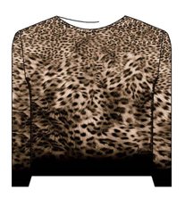 Bild nicht vorhanden