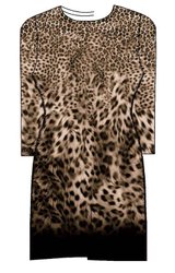 Bild nicht vorhanden