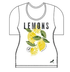 Bild nicht vorhanden