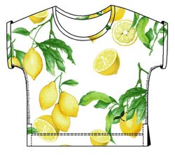 Bild nicht vorhanden