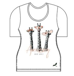 Bild nicht vorhanden